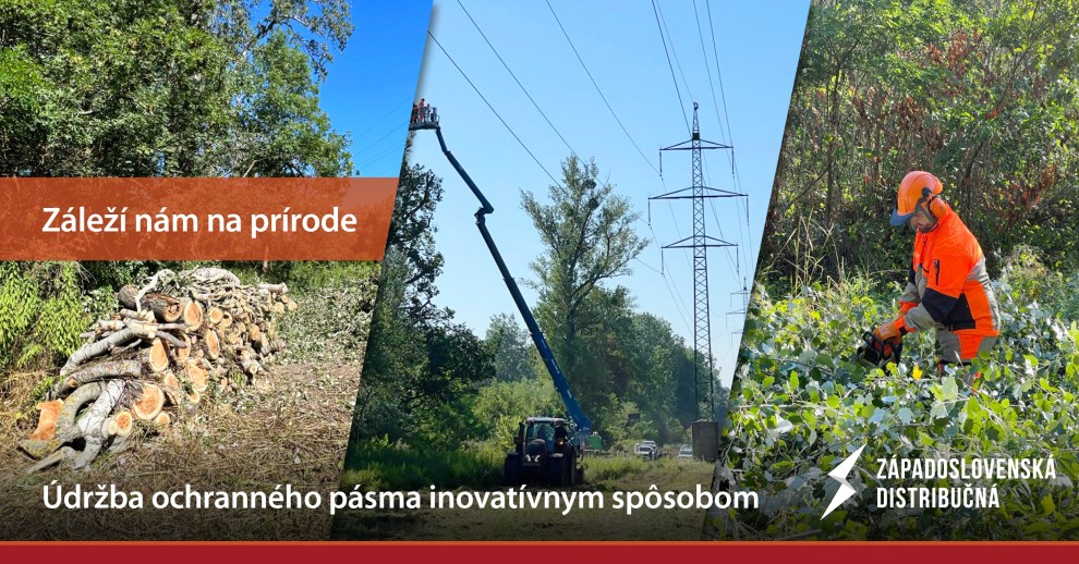 ZSD pri údržbe ochranného pásma pod VVN vedením prinavráti koridoru v Pečnianskom lese prírodný charakter
