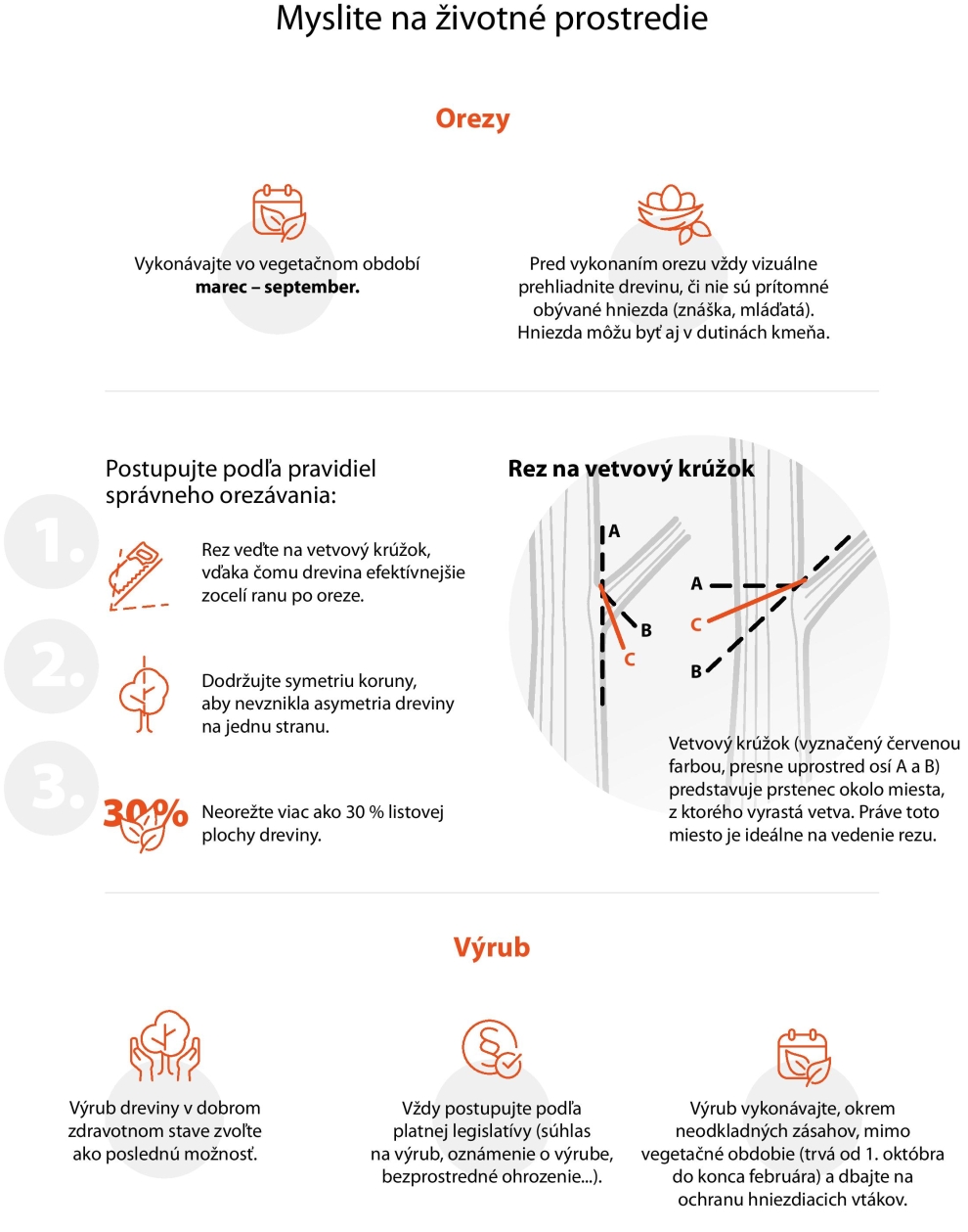 Infografika