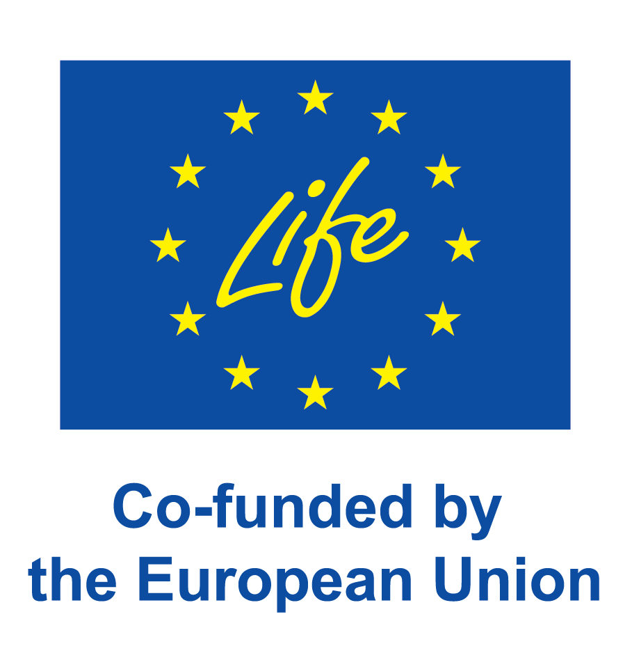 Co-funded by the EU